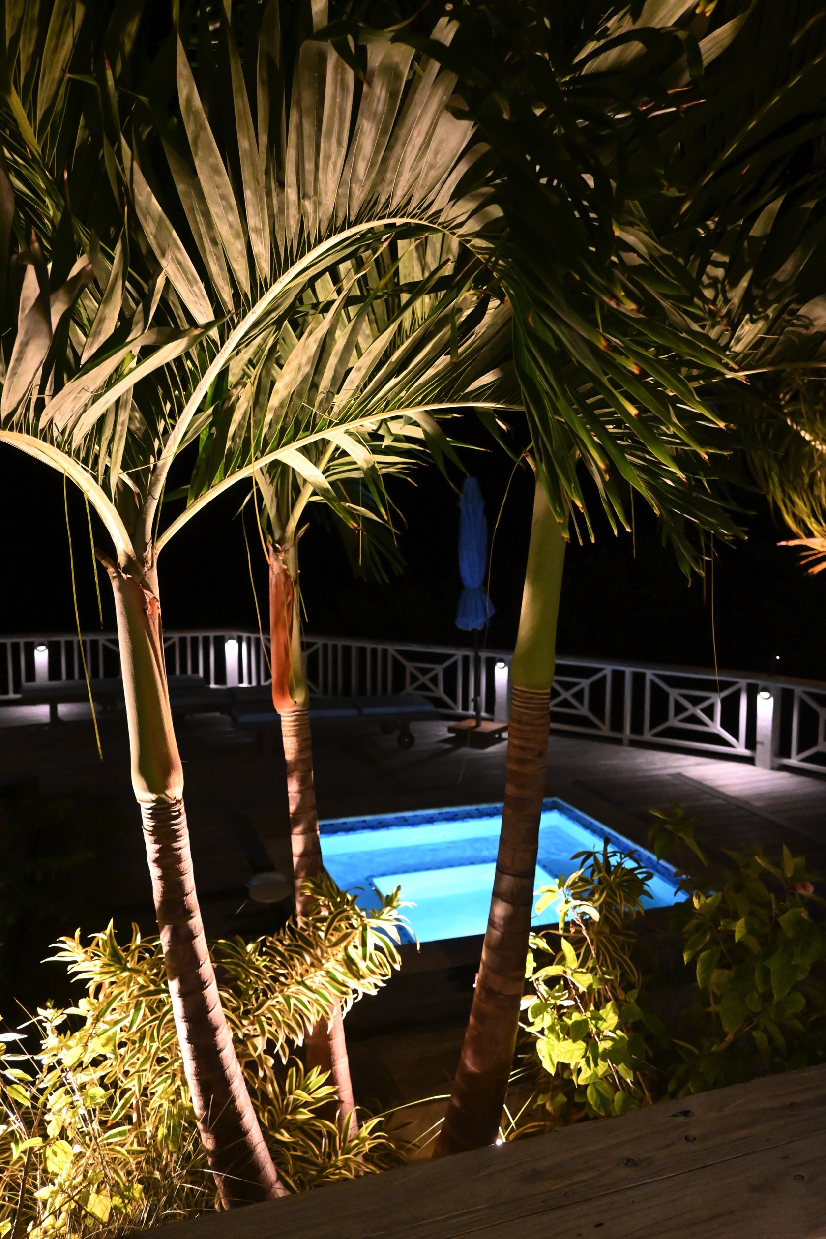 Infinity pool and palm trees illuminated at night Bakari House Great Exuma Bahamas