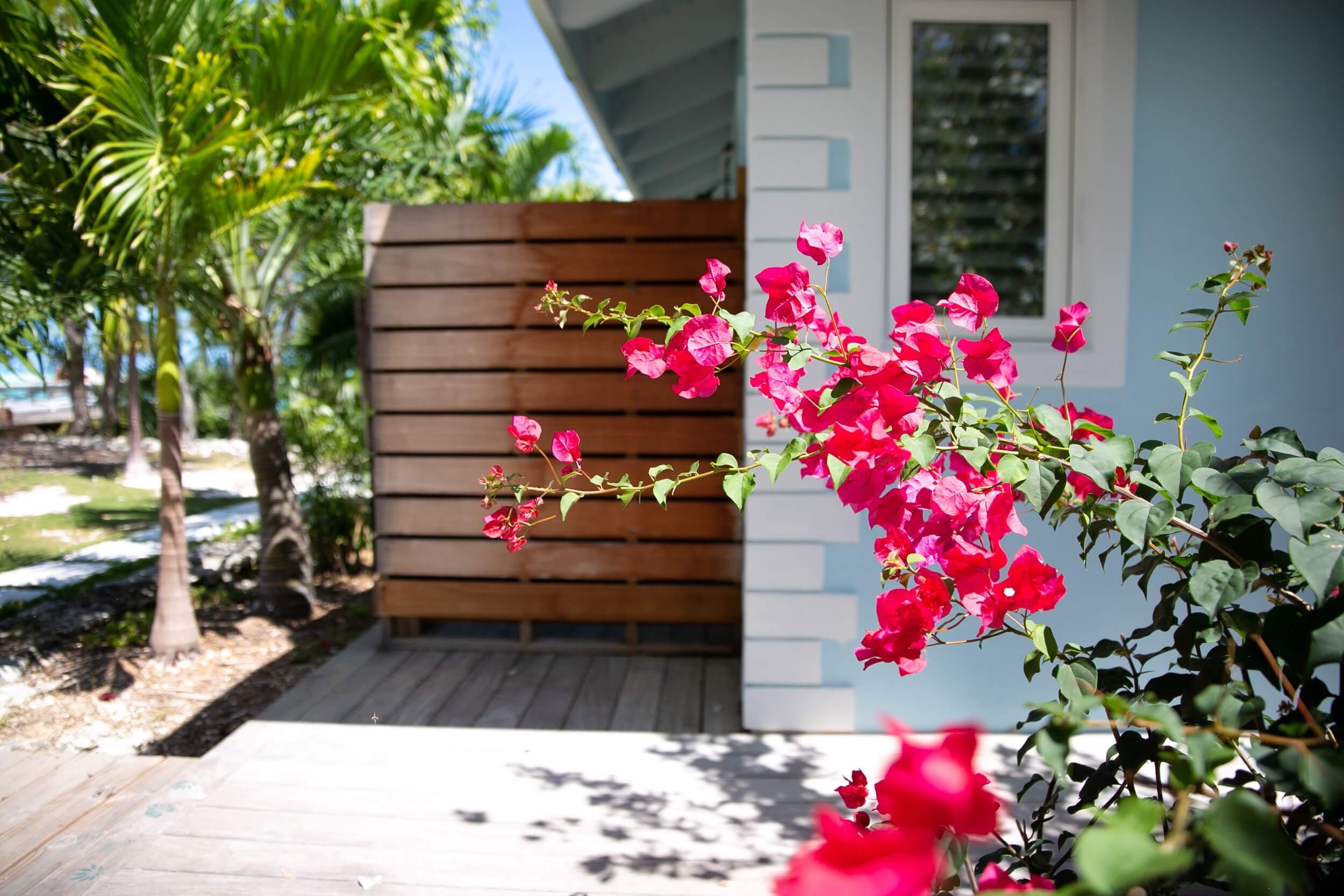 Bakari House entrance flower